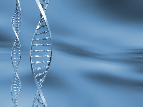 DNA /ilustrační obrázek