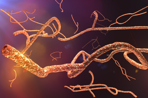 Virus eboly/ilustrační foto